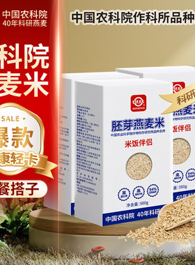 中国农科院世壮燕麦米五谷杂粮米煮粥脱壳燕麦粒粗米燕麦米类