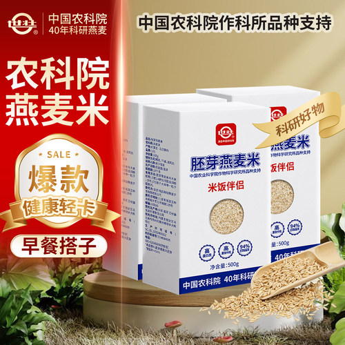 中国农科院世壮燕麦米五谷杂粮米煮粥脱壳燕麦粒粗米燕麦米类