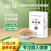 中国农科院世壮燕麦米五谷杂粮煮粥破壁脱壳燕麦粒粗米燕麦饭