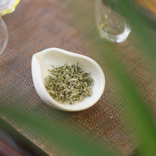 2026新茶绿茶高山手工茶四川甘露罐装250g