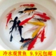 淡水金鱼活体鱼小型鱼小草金饲料鱼苗观赏鱼活体锦鲤鱼好养易活鱼