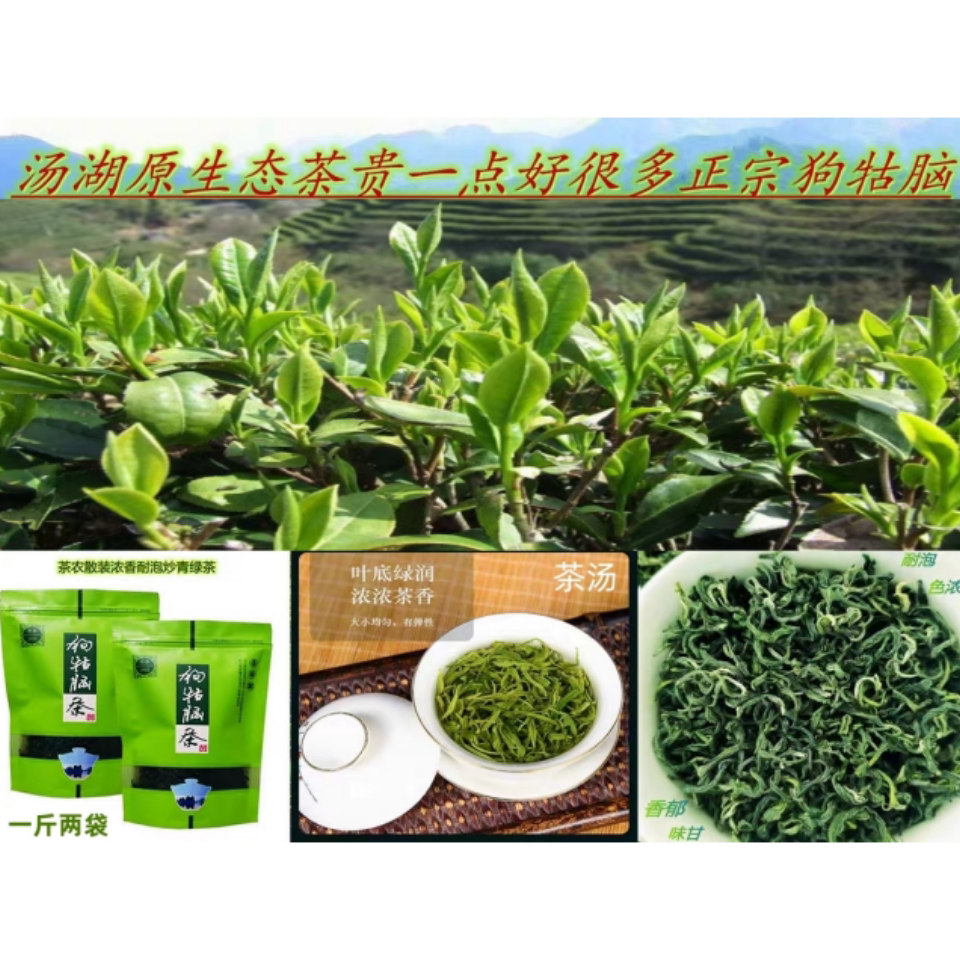 2024新茶狗牯脑茶江西遂川原产地高山云雾浓香炒青绿茶400g口粮茶