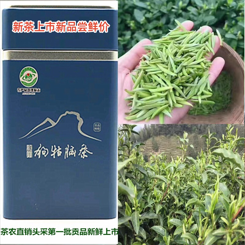 遂川狗牯脑茶叶头采贡品高山明前炒青绿茶回甘清甜醇香2026新茶