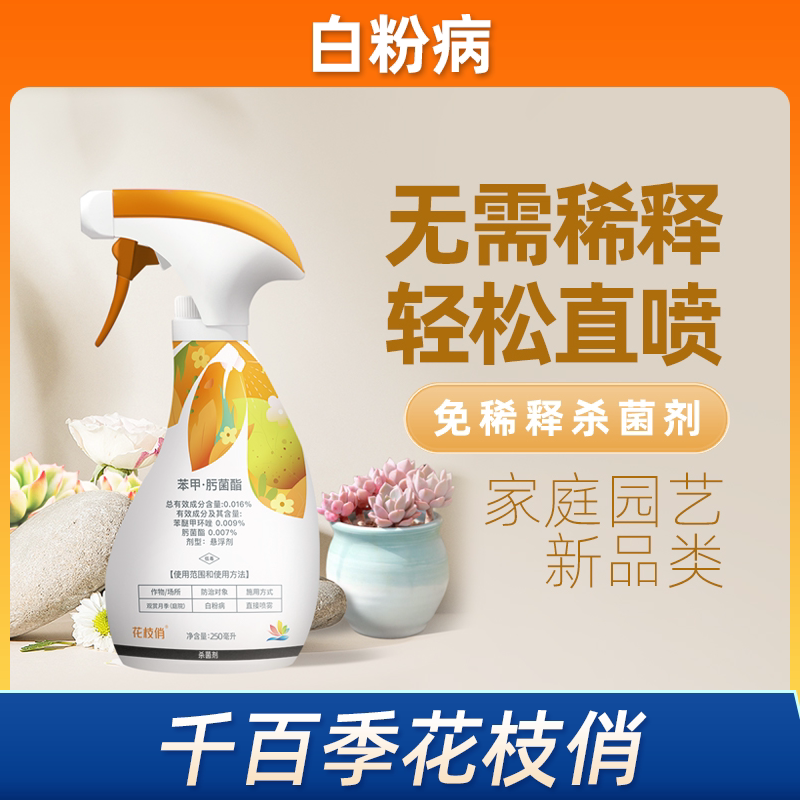 千百季花枝俏通用免稀释杀菌剂叶斑病枯枝病炭疽病锈病月季白粉病图片