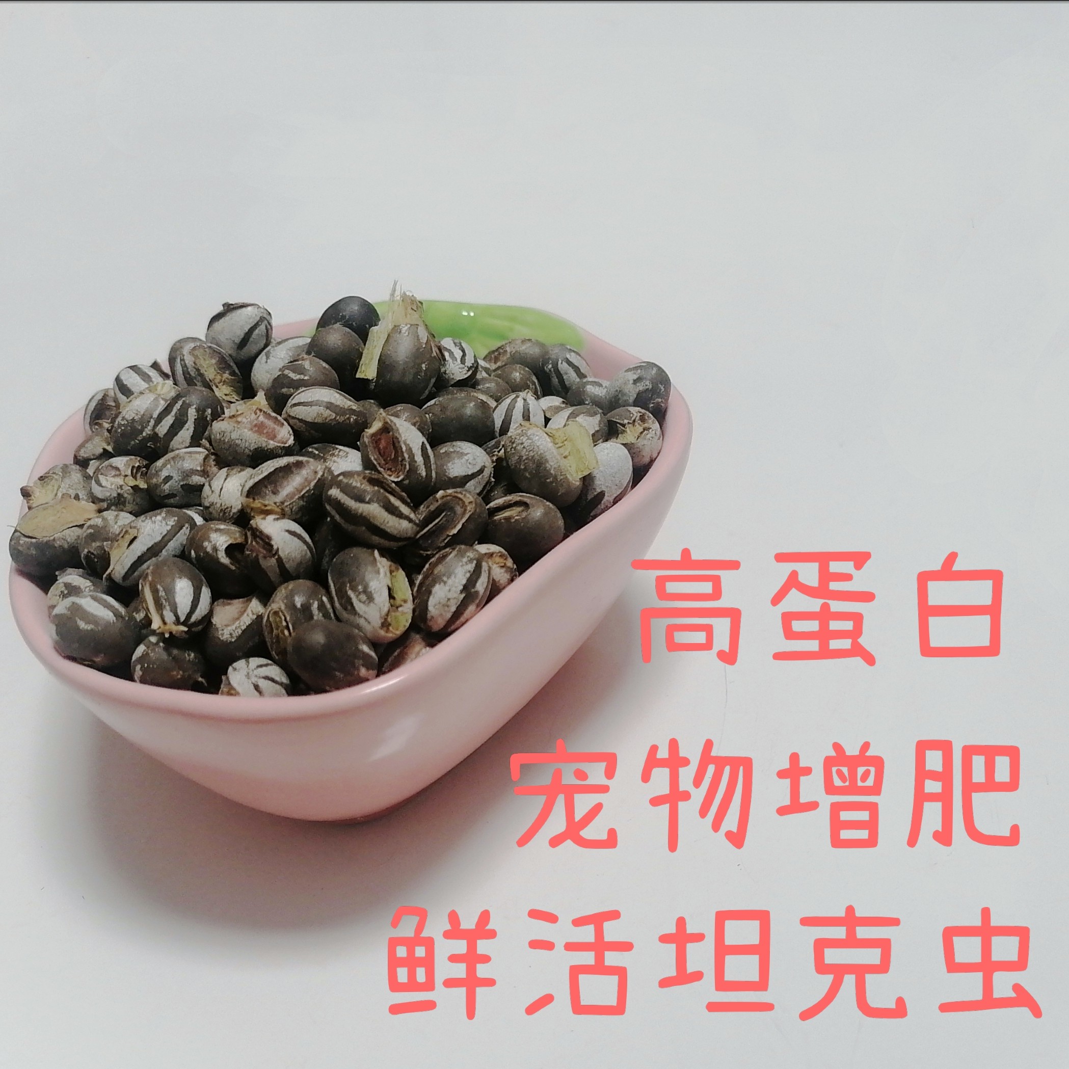 杨拉罐坦克虫大颗粒仓鼠蜜袋鼯松鼠蜡嘴鹦鹉高营养高蛋白增肥零食