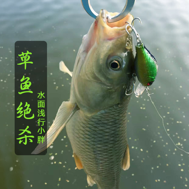8g摇滚迷你小胖子浮水米诺潜水型草鱼鲈鱼马口翘嘴淡水路亚饵硬饵