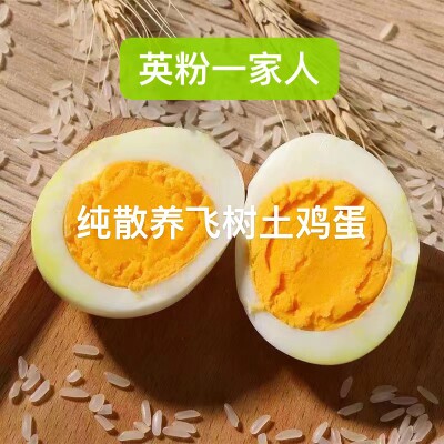 广东饶平自家果园纯散养走地土鸡蛋,40枚一箱