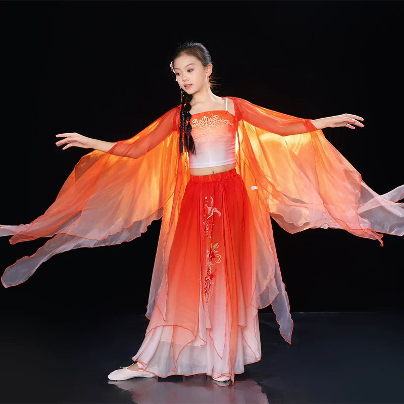女童古典舞舞蹈服锦鲤同款仙气飘逸古风大袖衫儿童大摆裙演出服装