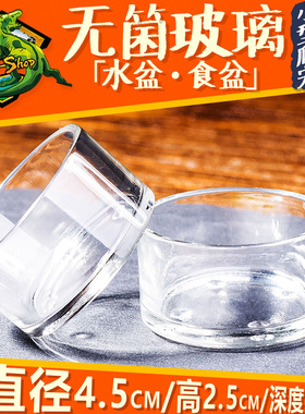 Rep-Shop爬虫玻璃水盆无菌食盆爬宠角蛙守宫蜥蜴蛇活食喂食碗易清