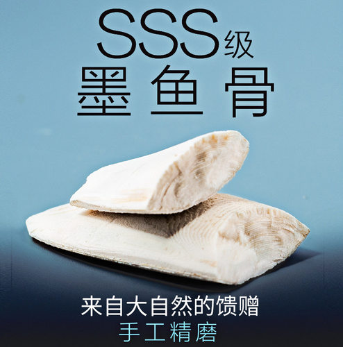 陆龟墨鱼骨鹦鹉乌龟爬宠磨牙辐射陆龟磨喙乌贼骨D3补钙粉