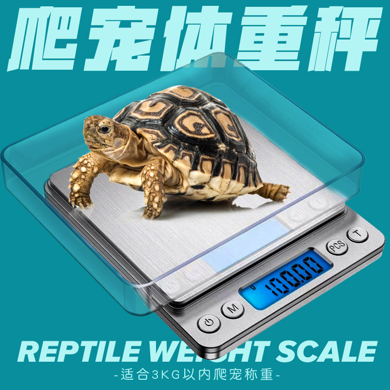爬虫守宫角蛙健康体重秤电子称计重秤爬宠陆龟蜥蜴称重0.1g~3000g