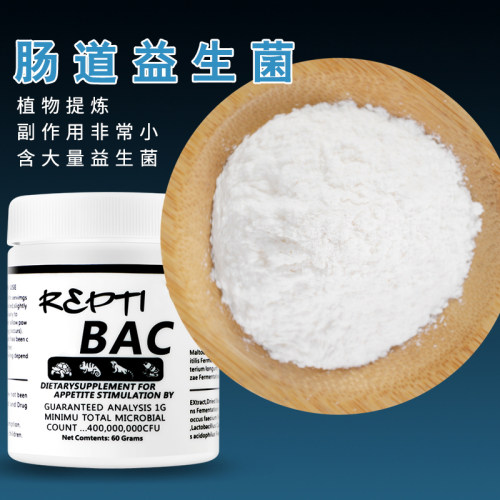 爬虫bac益生菌陆龟蜥蜴调理