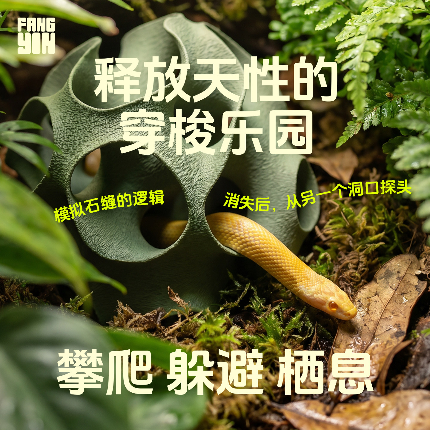 爬宠曲面攀爬躲避洞宠物玉米蛇豹纹睫角守宫丰荣多孔饲养箱造景屋