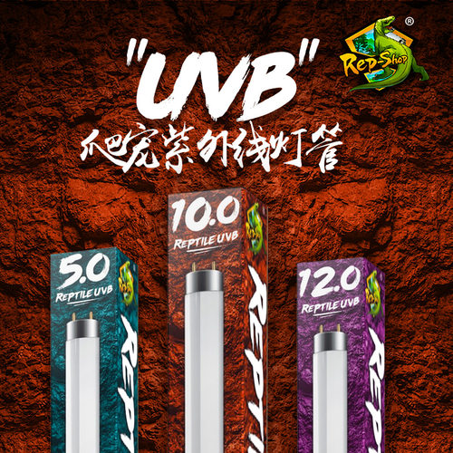 爬虫uvb灯Rep－Shop促进钙吸收