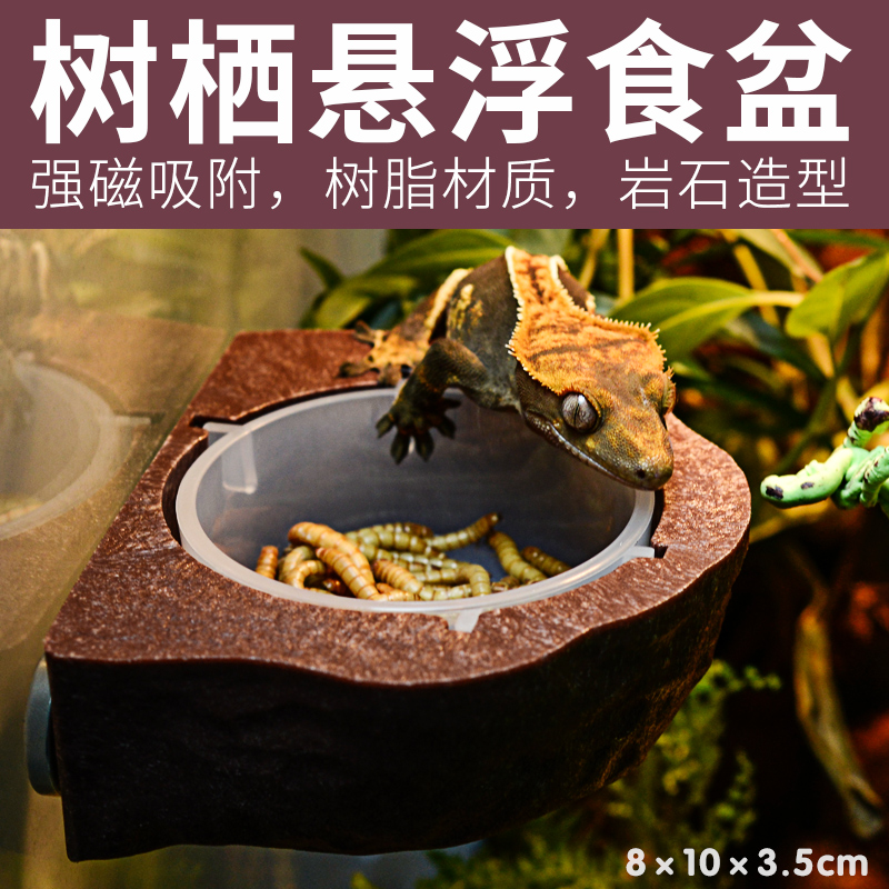 树脂爬宠果泥活虫防逃食盆吸盘守宫睫角强磁铁力悬浮喂食器