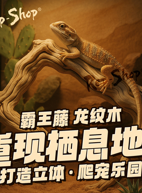 爬宠霸王藤木树蛙鬃狮蛇寄居蟹睫角守宫攀爬树枝藤条雨林缸造景木