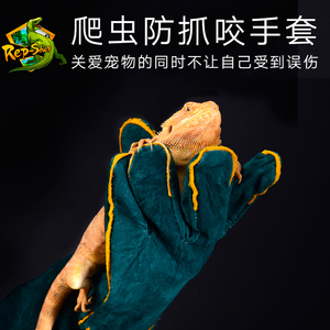 爬虫爬宠绿鬣鬃狮蜥蜴蛇猫狗防护手套防咬手套防止抓咬防抓手套