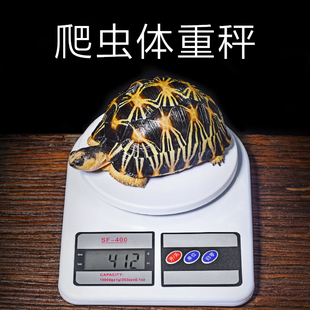 电子称计重秤爬宠陆龟蜥蜴称重1g 爬虫健康体重秤 5000g