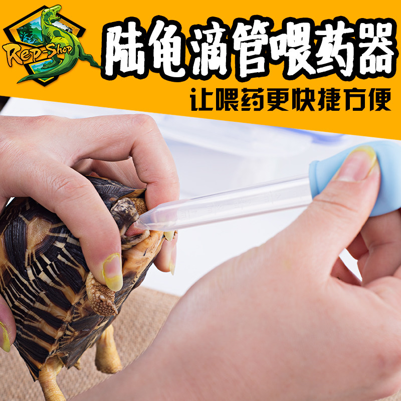 爬虫爬宠陆龟灌服器蜥蜴蛇灌药器喂药滴管乌龟喂食灌药开口器5ml