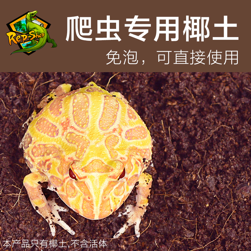 天然有机垫材 无泥土无异味 适用各种爬虫