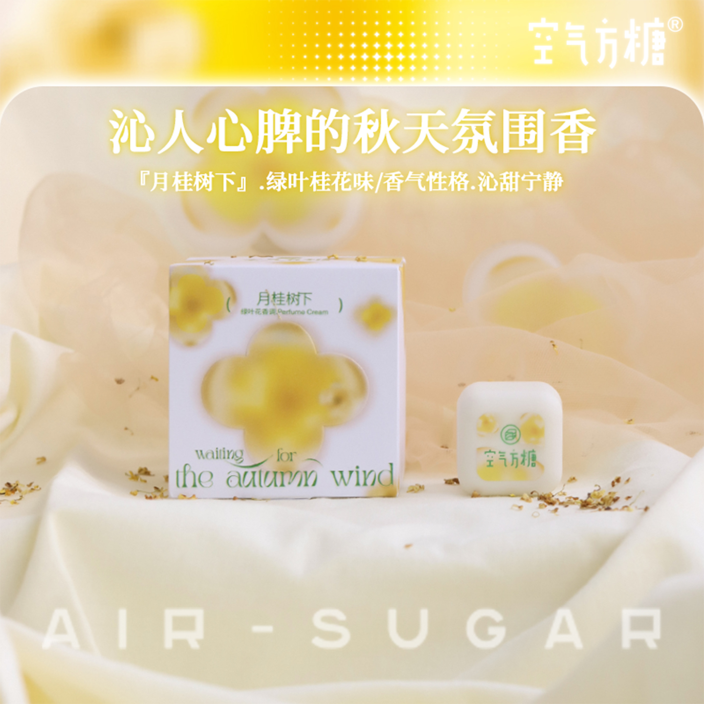 月桂树空气方糖固体持久淡香