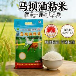 广东韶关特产马坝油粘米10斤装大米软滑爽口家用不抛光农家新米