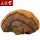 买3送1同款 三京堂桑黄金边桑黄长白山桑黄灵芝免费切块