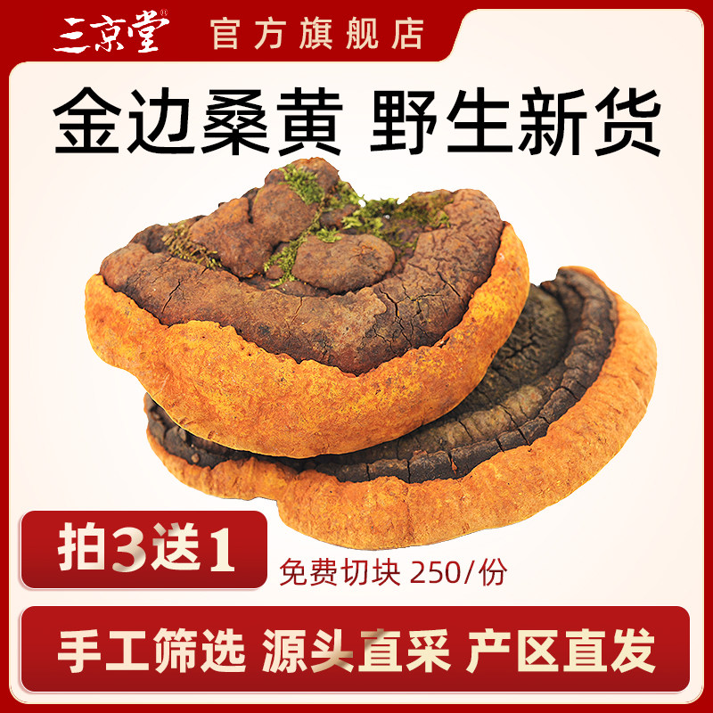 买3送1同款三京堂桑黄金边桑黄长白山桑黄灵芝免费切块