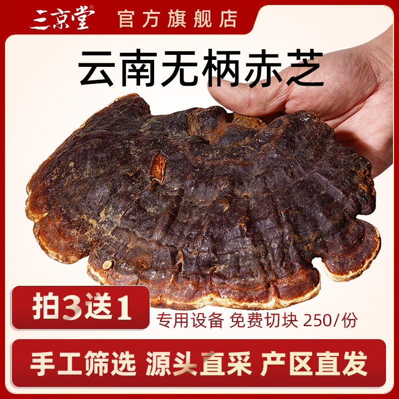 三京堂灵芝片无柄赤芝整枝野外生长赤灵芝深山林芝切片250g买3送1