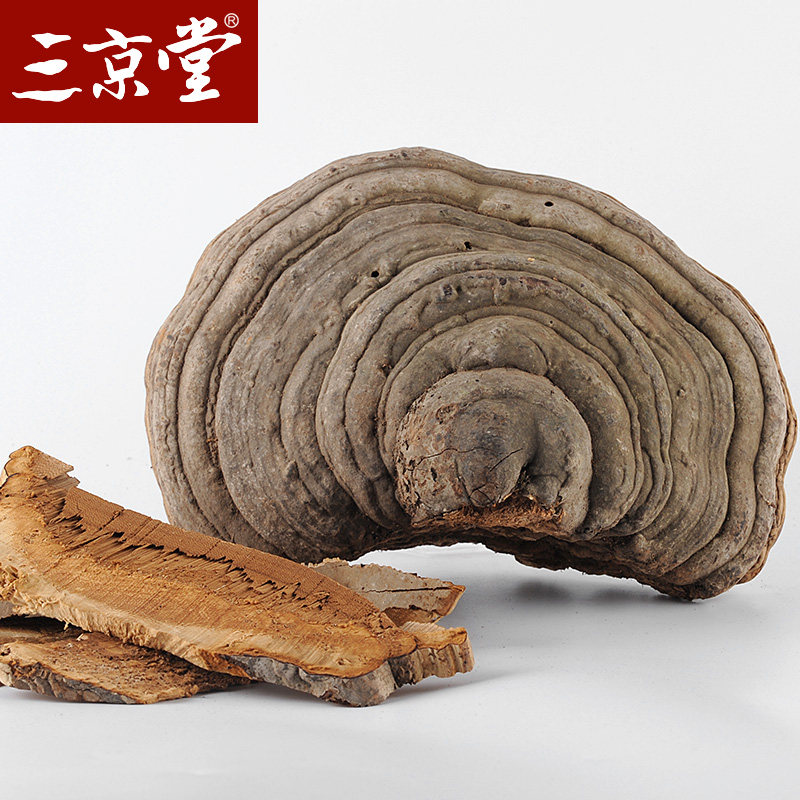 三京堂木蹄层孔菌木蹄灵芝长白山野外生长灵芝500g