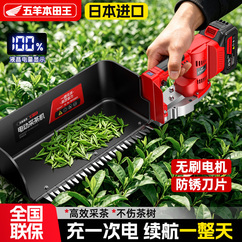 进口品质电动采茶机充电式园林修剪绿篱机小型单人家用锂电采茶机
