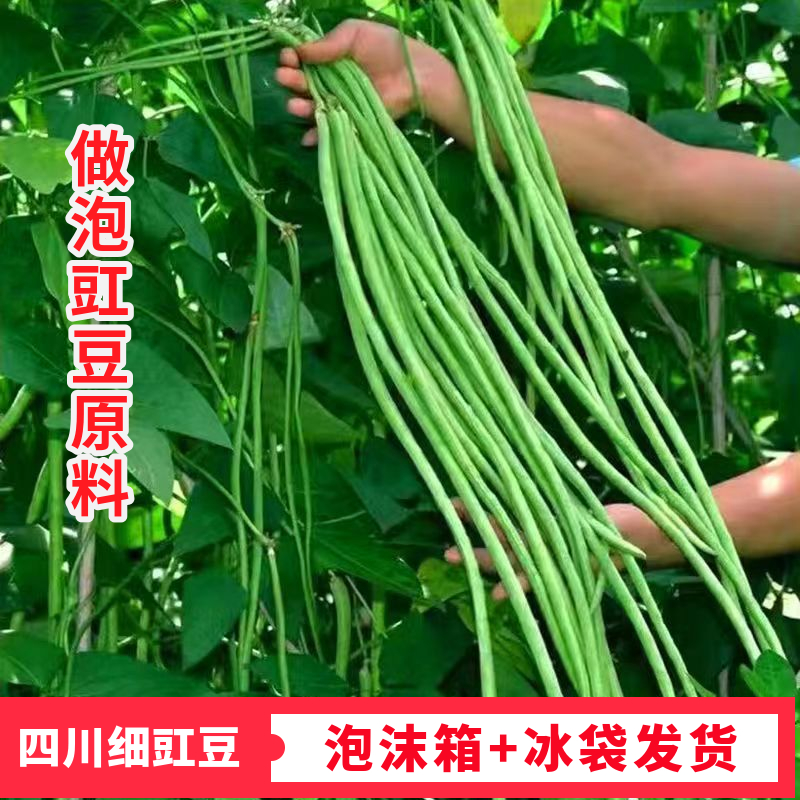 青豇豆细豇豆四川泡菜原料新鲜现摘农家自种时令蔬菜长豆角-封面