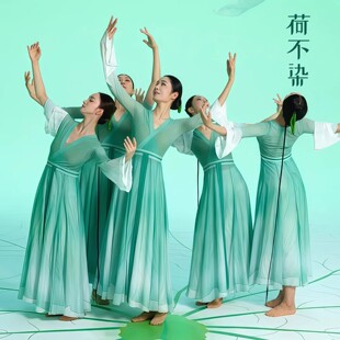 古典舞演出服金刚舞蹈荷不染装 女纱衣中国舞飘逸大摆裙艺考练功服
