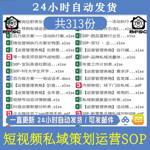 短视频运营sop方案hi范本社群私域流量表格抖音策划营销计划书