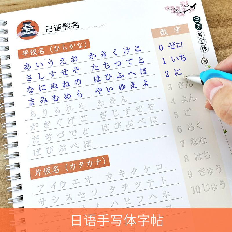 日语字帖凹槽手写体五十音日文假名练字帖成人初学者可爱日本字帖