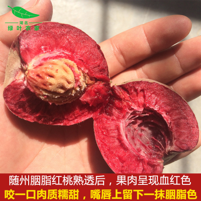 湖北现摘脆甜多汁血桃