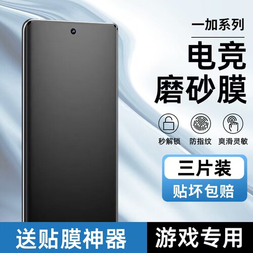 适用一加13防指纹磨砂水凝膜