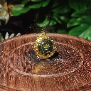 送链子 帕勇珠 泰国特色佛牌 2484