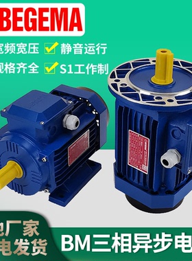 意大利Y2-71M2-6-0.25KW三相750W交流电动机380V220vMS8024皖南bm