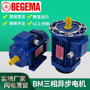 意大利Y2-71M2-6-0.25KW三相750W交流电动机380V220vMS8024皖南bm