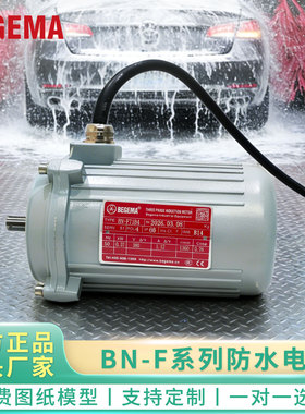 三相异步防水电动机IP65防水马达370W550W自动洗车机专用减速电机