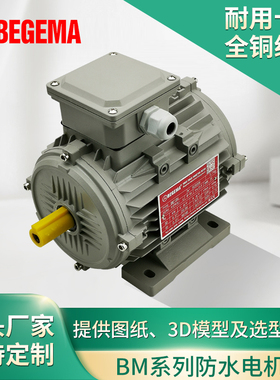 BEGEMA防水电机0.25KW0.37KW0.75KWIP65防护等级4级立式卧式马达