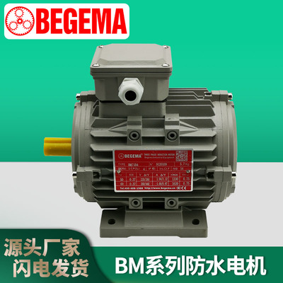 BEGEMA防水电机0.25KW0.37KW0.75KWIP65防护等级4级立式卧式马达
