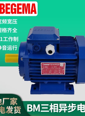BEGEMA宝戈玛Y/MS80/6324B4/750/370W电动机马达三相交流立式380v