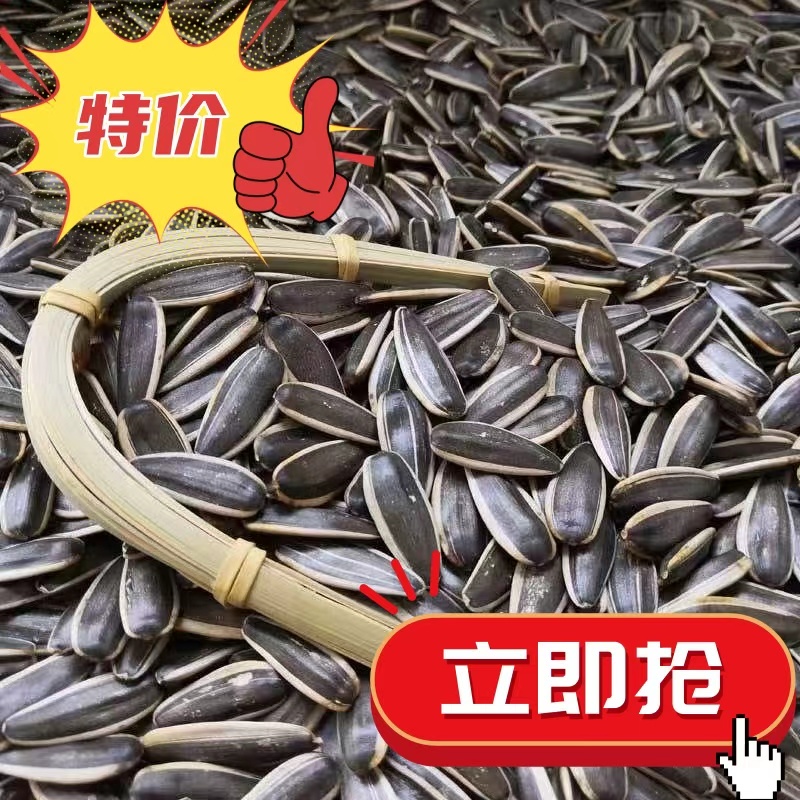 豫邑美2025年现炒熟内蒙古原味瓜子黑葵花子生毛嗑食用零食