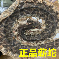 蕲蛇中药材100g克包邮蕲蛇大白花蛇整条大蕲蛇正品干货磨粉请备注