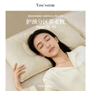 分区荞麦枕头护颈椎枕成人专用助睡眠神器改善颈椎反弓缓解疲劳