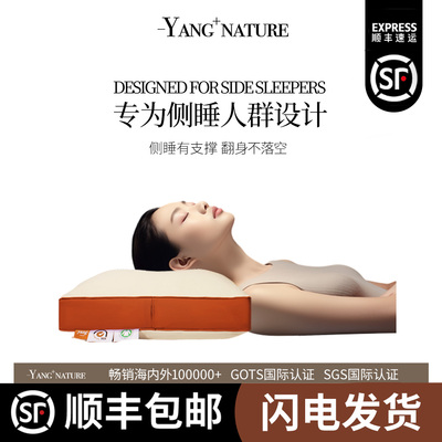 夏季天四季通用纯棉全棉枕头套a