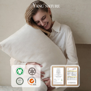 氧家五星级酒店枕头枕芯一对荞麦皮枕枕护颈椎助睡眠专用深睡成人