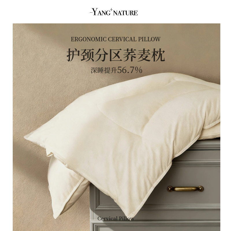 分区荞麦枕头护颈椎助睡眠